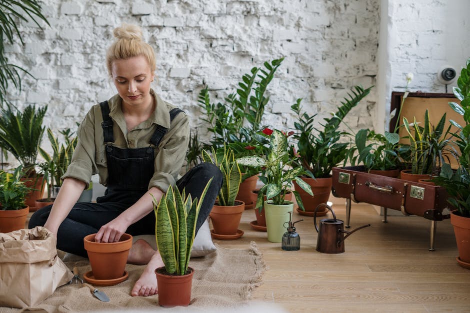 A Beginner's Guide to Successfully Growing Potted Aquarium Plants