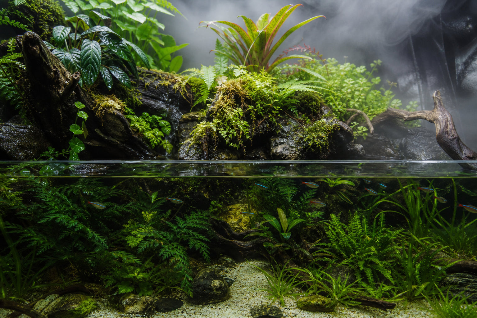 Paludarium Plants Guide