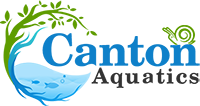 Live Aquarium Plants That Double As Pond Plants