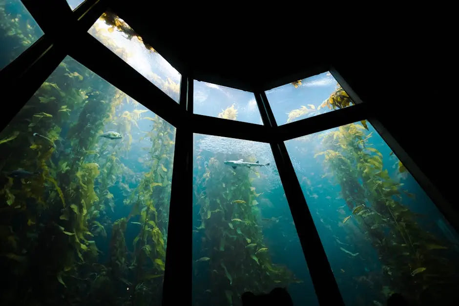 The Joy of Nano Aquarium Plants: Essential Tips for Beginners
