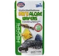 Hikari Tropical Algae Wafers Fish Food [Set of 2] Size: 0.70 Ounce