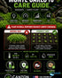 Micranthemum Monte Carlo Tissue Culture Aquarium Plant In Vitro Pest Free - Additional angle 3