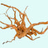 Aquarium Hardscape DriftWood: SpiderWood in fish tank setup