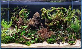 Aquarium Hardscape DriftWood: SpiderWood
