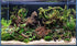 Aquarium Hardscape DriftWood: SpiderWood