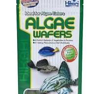 Hikari Tropical Algae Wafers Fish Food [Set of 2] Size: 0.70 Ounce
