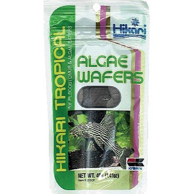 Hikari Tropical Algae Wafers Fish Food [Set of 2] Size: 0.70 Ounce