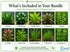 10 Assorted Potted Aquarium Plants Bundle - Image 8 of 10