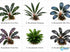 Bucephalandra Mix Green Wavy Plant - Ideal Aquarium Plants - Adorn Your Aquarium with The Graceful Charm - Eye Catching Focal Point - Vibrant Green Color - Low Maintenance Plant - Image 8