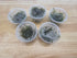 5 Java Moss Portions Live Aquarium Plant Taxiphyllum Barbieri BUY 2 GET 1 FREE