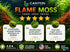 Flame Moss Live Aquarium Plant 3 Pack 4oz Freshwater Moss for Fish Tank from Canton Aquatics