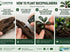 Bucephalandra Mix Green Wavy Plant - Ideal Aquarium Plants - Adorn Your Aquarium with The Graceful Charm - Eye Catching Focal Point - Vibrant Green Color - Low Maintenance Plant - Image 9