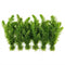 Hornwort Bunch