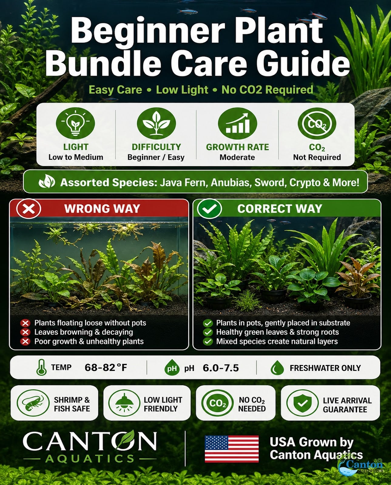 10 Assorted Potted Aquarium Plants Bundle - Image 7 of 10