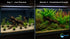 10 Assorted Potted Aquarium Plants Bundle - Image 6 of 10