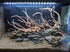 Aquarium Hardscape DriftWood: SpiderWood