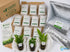 10 Assorted Potted Aquarium Plants Bundle - Image 5 of 10