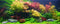 Live Aquarium Plant Essentials Bundle - Hard To Kill