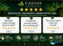 Micranthemum Monte Carlo Tissue Culture Aquarium Plant In Vitro Pest Free - Product image 10 of 10