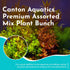 Premium Assorted Mixed Plant Bundle