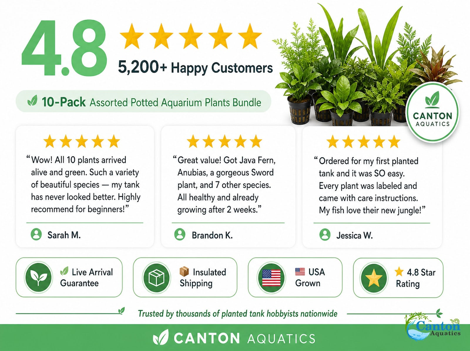 10 Assorted Potted Aquarium Plants Bundle - Image 10 of 10