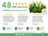 10 Assorted Potted Aquarium Plants Bundle - Image 10 of 10
