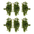 Lush Anacharis & Hornwort Waters Bundle, USA plants.