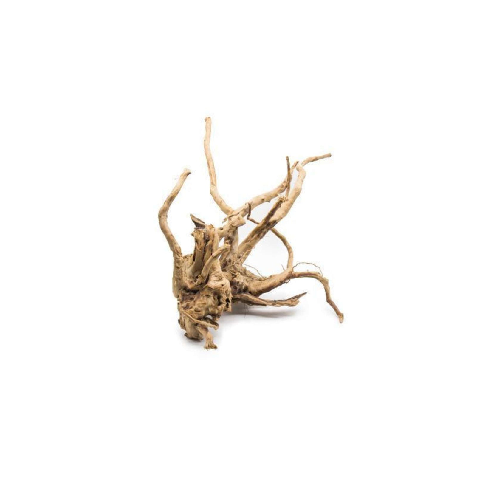 Aquarium Hardscape DriftWood: SpiderWood