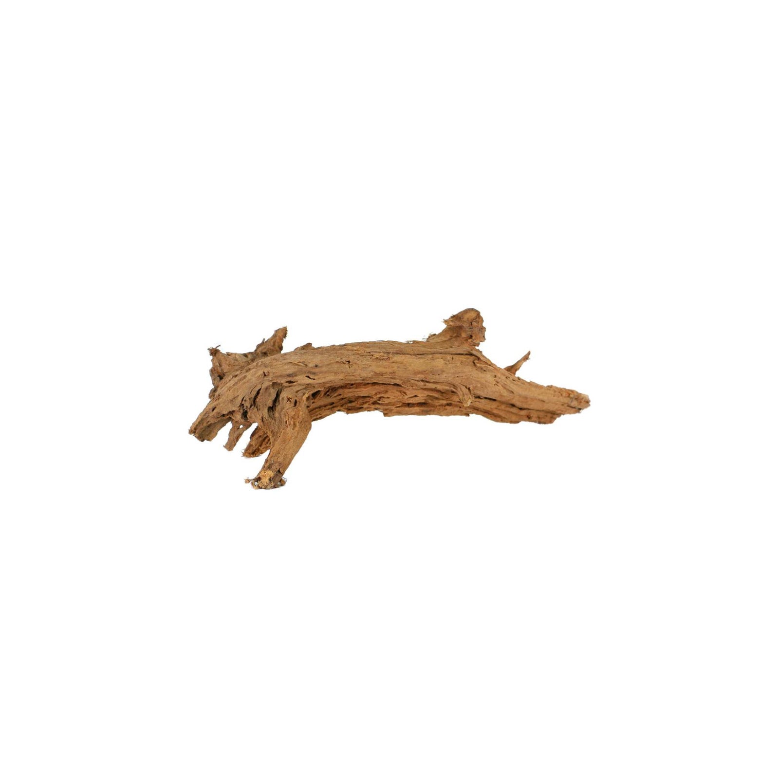 Malaysian DriftWood Aquascape for