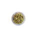 Azolla Filiculoides "Fairy Moss"