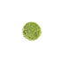 Azolla Filiculoides "Fairy Moss"