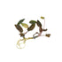 Cryptocoryne Wendtii Brown Bare Root