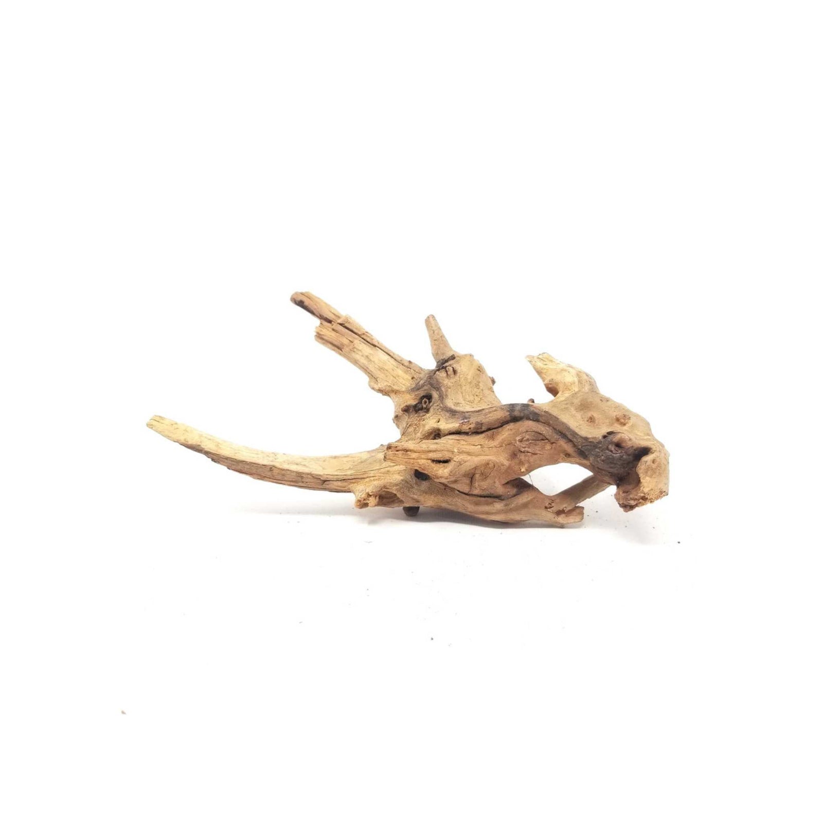 Pacific Wood For Aquascaping