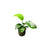 Anubias Barteri Bare Root