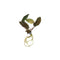 Cryptocoryne Wendtii Brown Bare Root