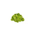 Duckweed (Lemma Minor)