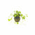 Dwarf PennyWort Japan (Hydrocotyle Tripartita)