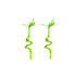 Lucky Bamboo Plant (Dracaena Sanderiana)