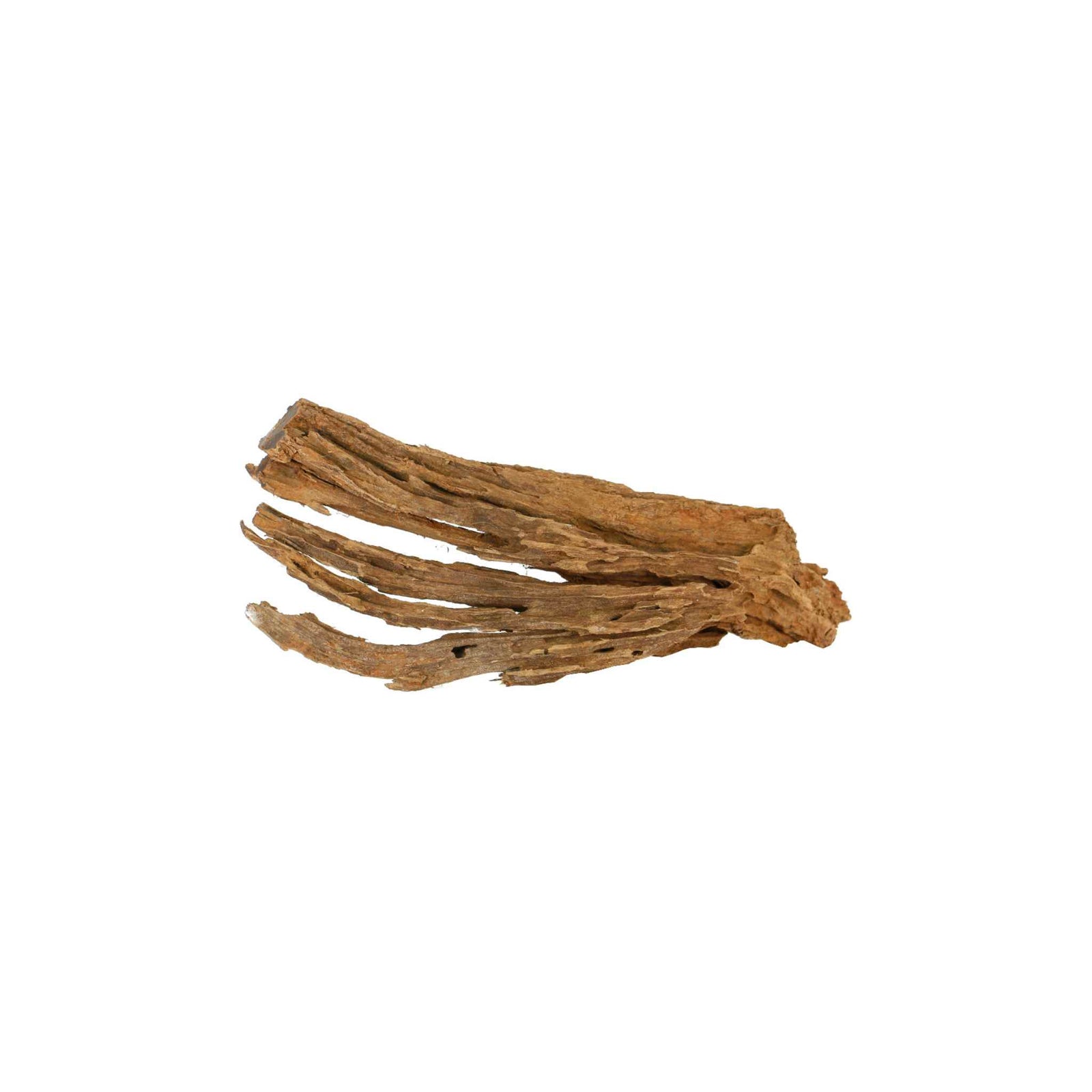 Malaysian DriftWood Aquascape for