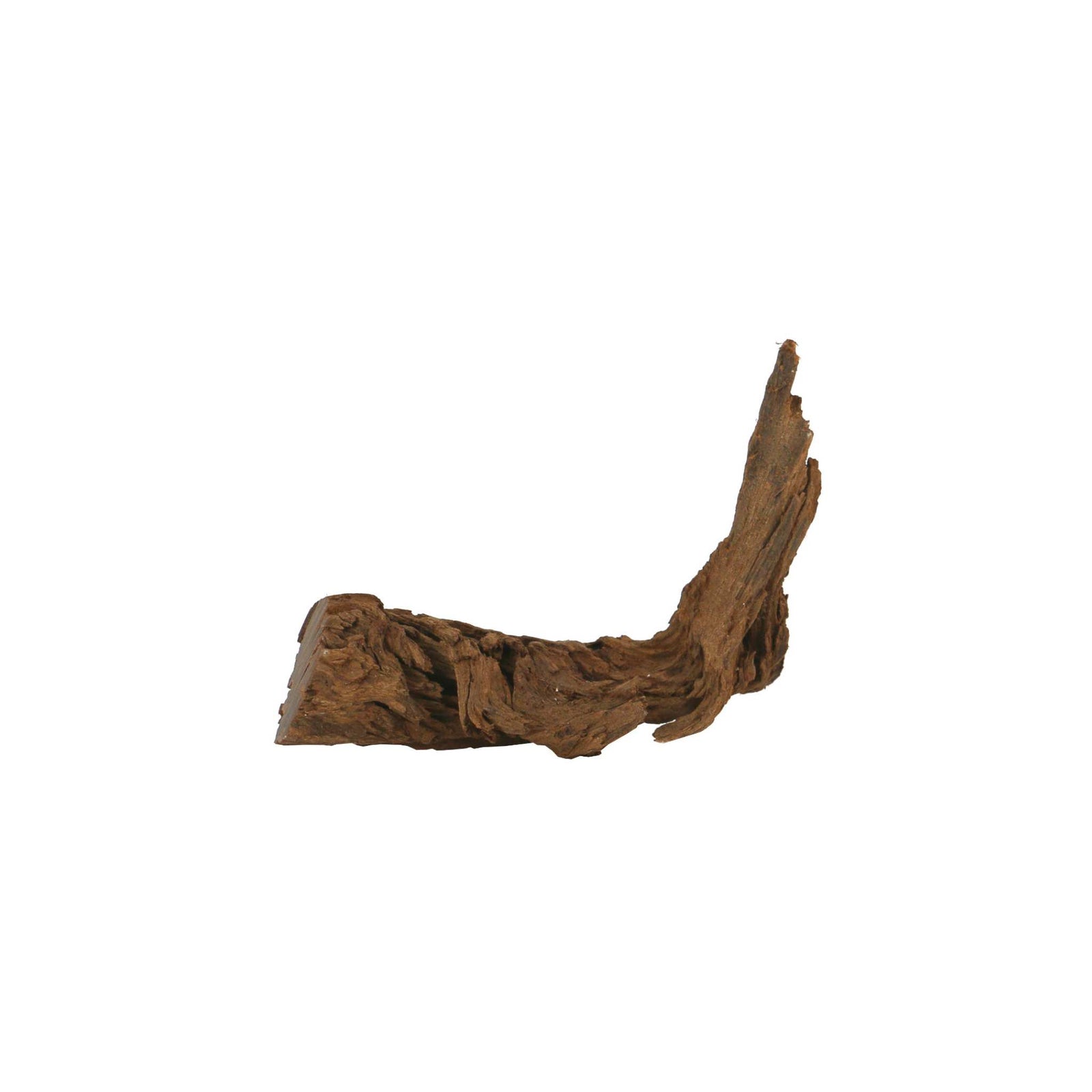 Malaysian DriftWood Aquascape for