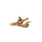 Pacific Wood For Aquascaping