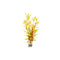 Nesaea Pedicellata (Golden) Bunch
