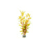 Nesaea Pedicellata (Golden) Bunch
