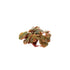 Red Root Floater Phyllanthus Fluitans