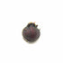 Red Tiger Lotus Nymphaea zenkeri bulb ready for planting USA