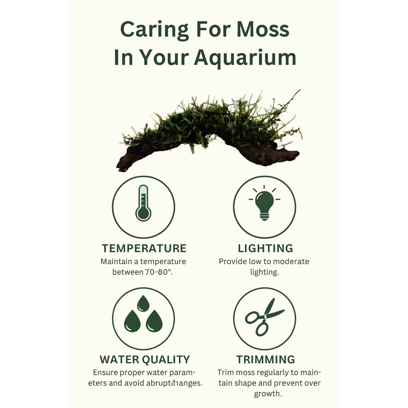 Tips for caring for aquarium moss on driftwood: water, light, trim