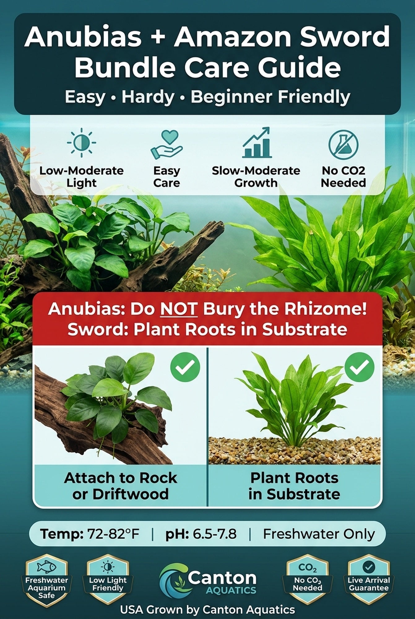 Aquarium Bundle in freshwater aquarium