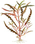 Beginner-Friendly Low Light Plant Bundle (6 Easy-Grow Varieties)