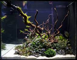 Aquarium Hardscape DriftWood: SpiderWood