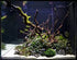 Aquarium Hardscape DriftWood: SpiderWood